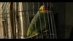 Нарко: Мексика 2 сезон 2 серия